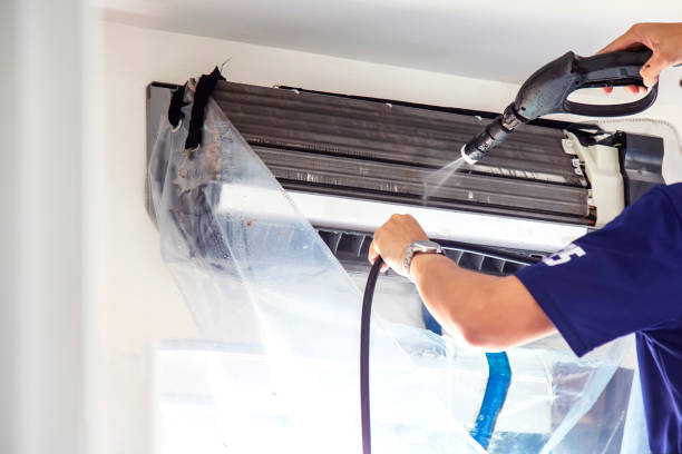 Best Air Duct Mold Removal  in Ironton, MO